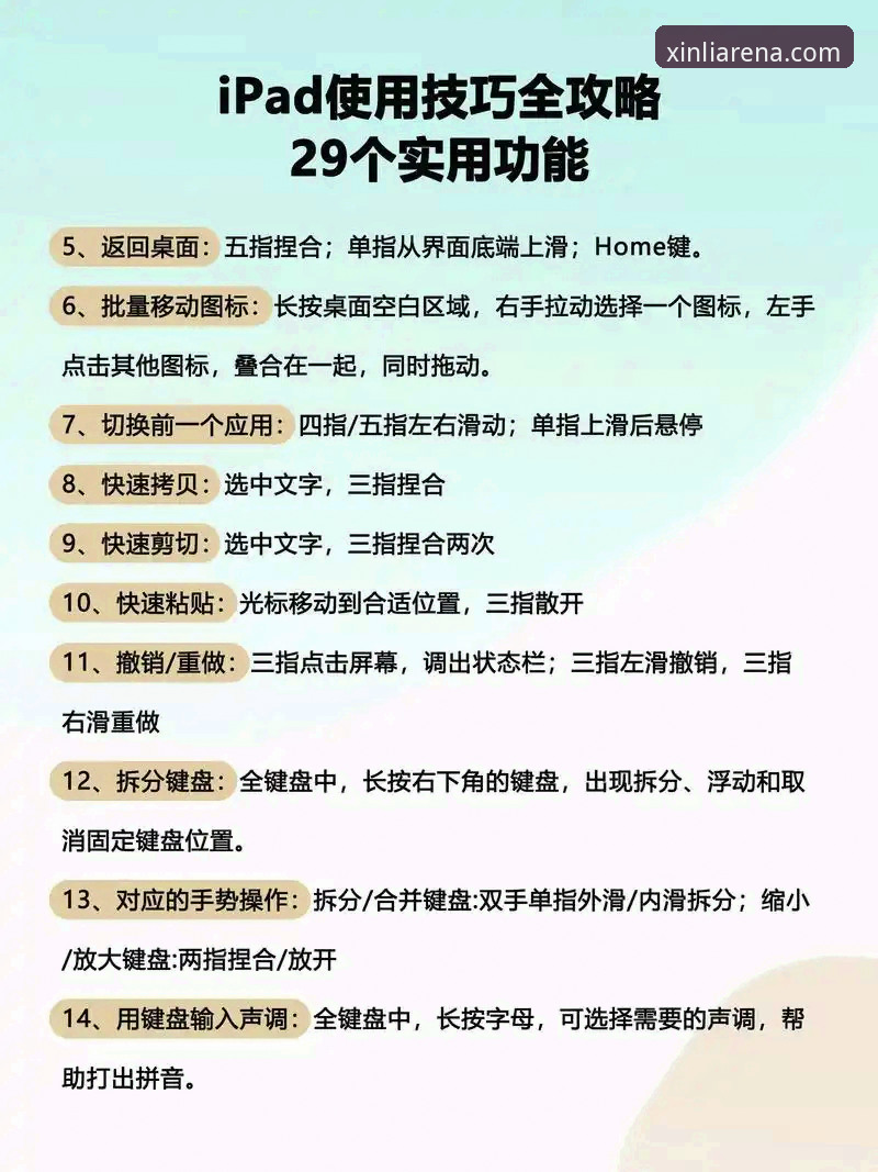 新利平台下载全流程详解：从入门到流畅观赛的操作指南